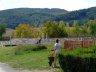 Tarian körpincék hátulról nézve, 2008 - 